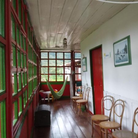 Ecohotel Pinohermoso Reserva Natural Salento Kültér fotó