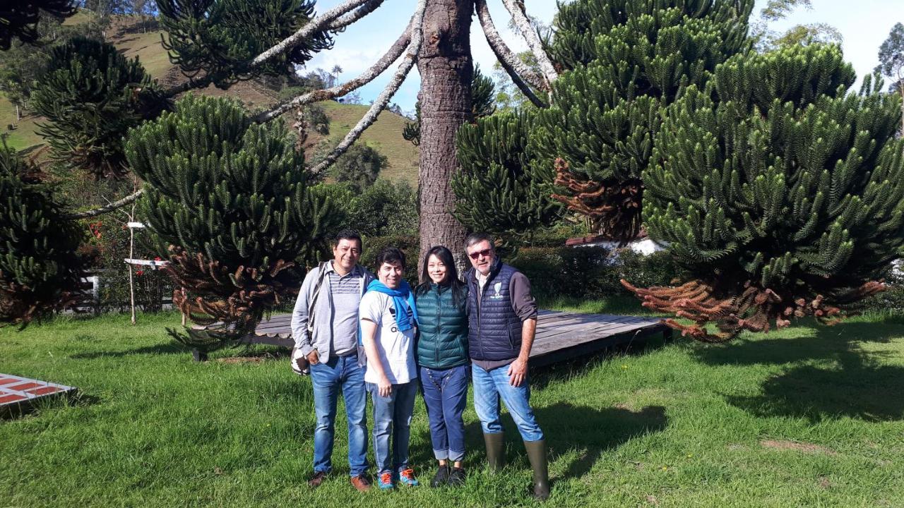 Ecohotel Pinohermoso Reserva Natural Salento Kültér fotó