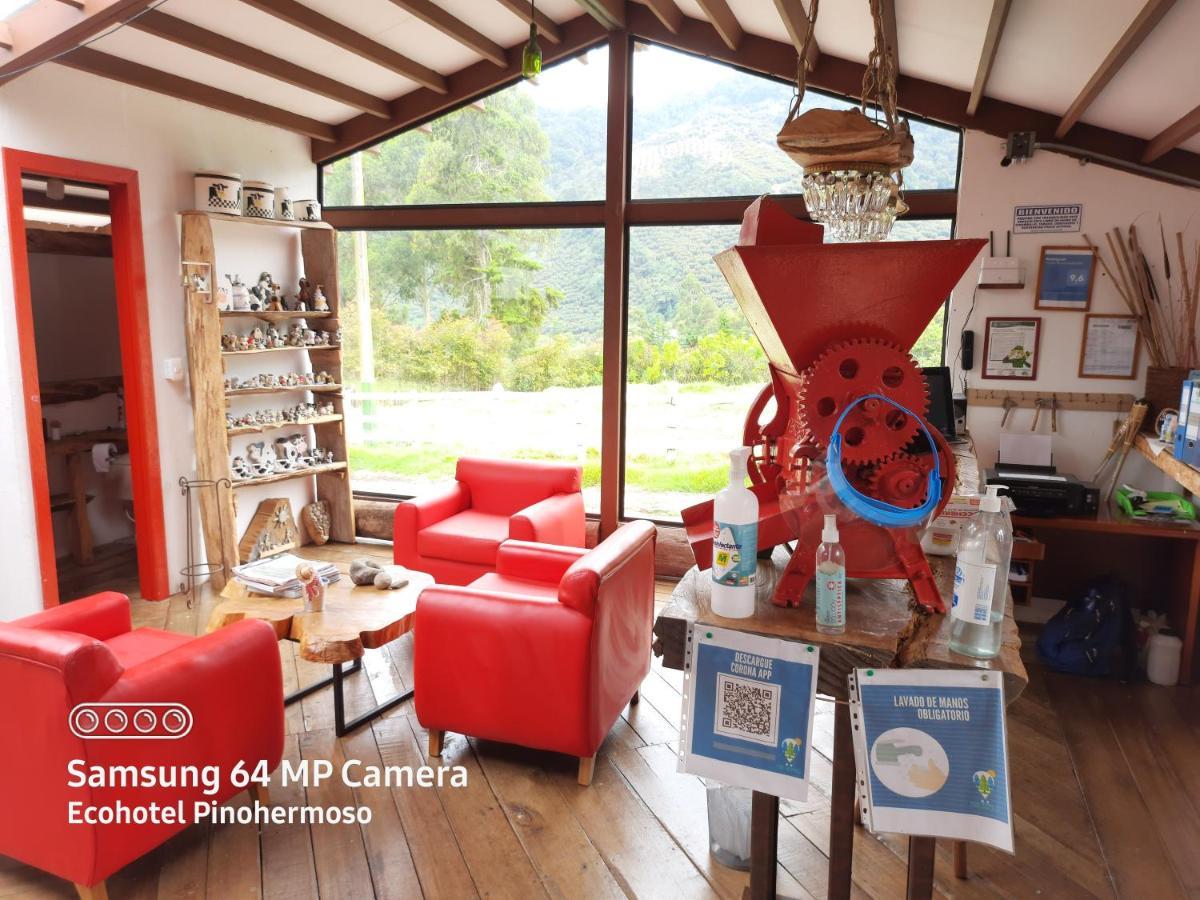 Ecohotel Pinohermoso Reserva Natural Salento Kültér fotó