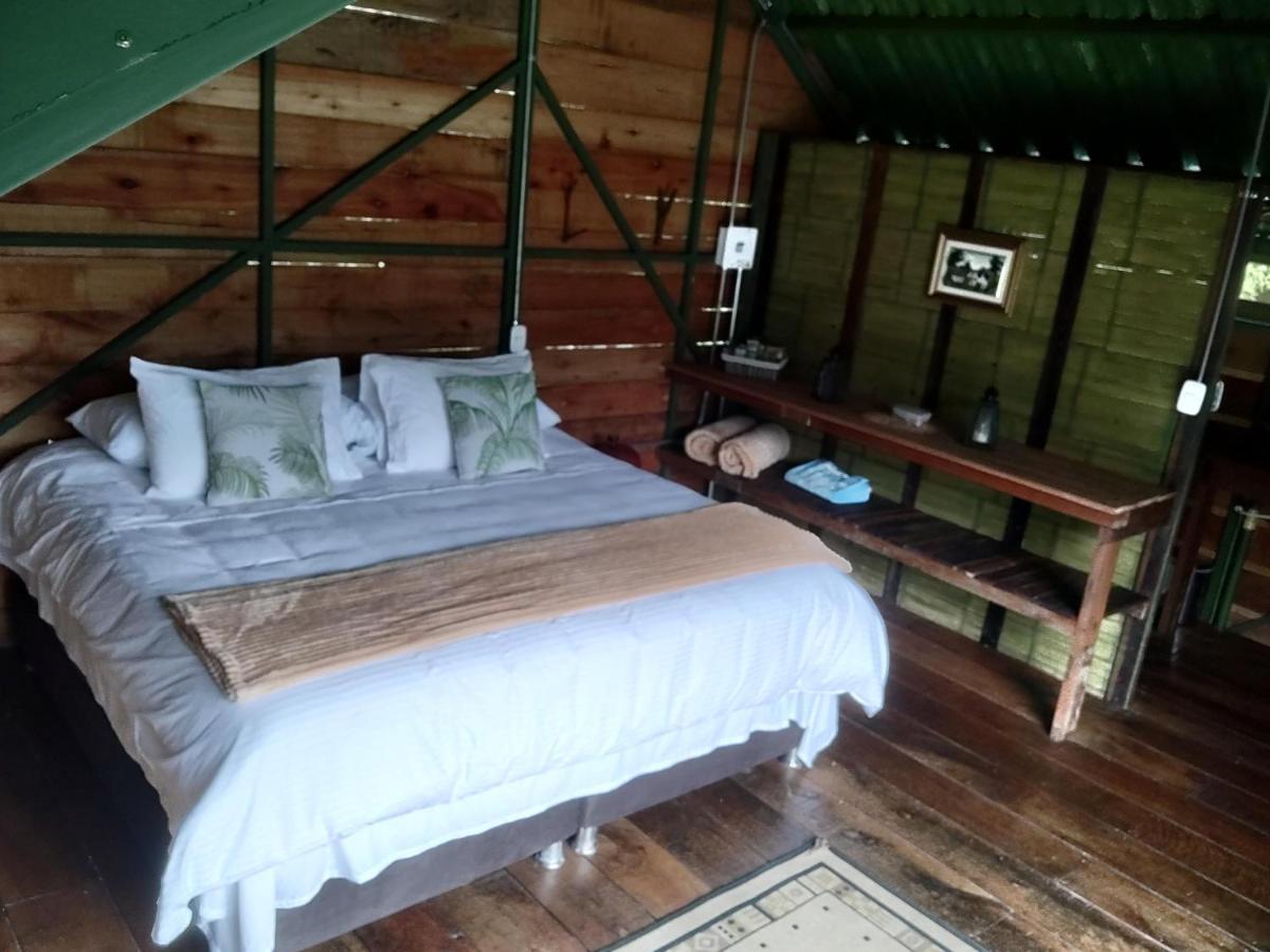 Ecohotel Pinohermoso Reserva Natural Salento Kültér fotó