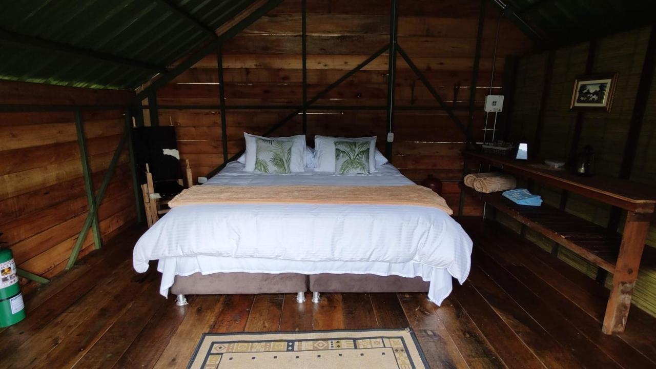 Ecohotel Pinohermoso Reserva Natural Salento Kültér fotó