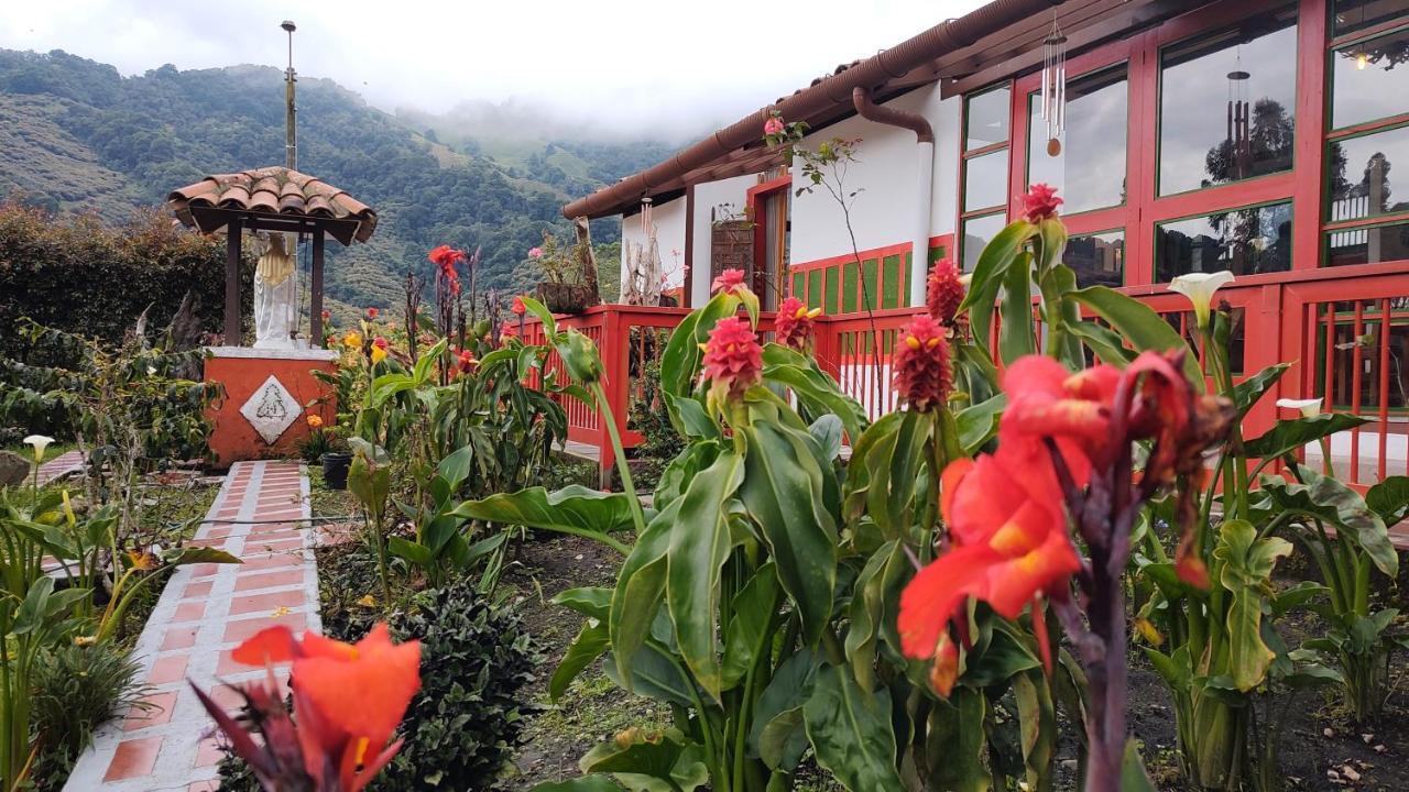 Ecohotel Pinohermoso Reserva Natural Salento Kültér fotó