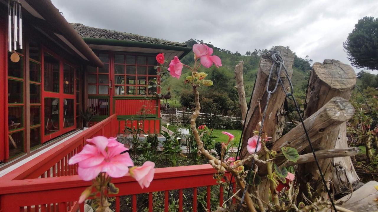 Ecohotel Pinohermoso Reserva Natural Salento Kültér fotó