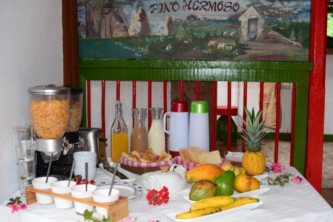 Ecohotel Pinohermoso Reserva Natural Salento Kültér fotó
