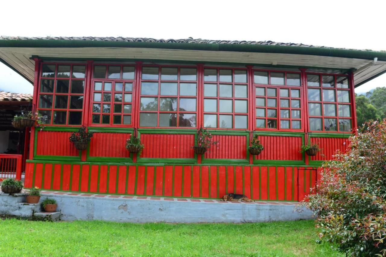 Ecohotel Pinohermoso Reserva Natural Salento Kültér fotó