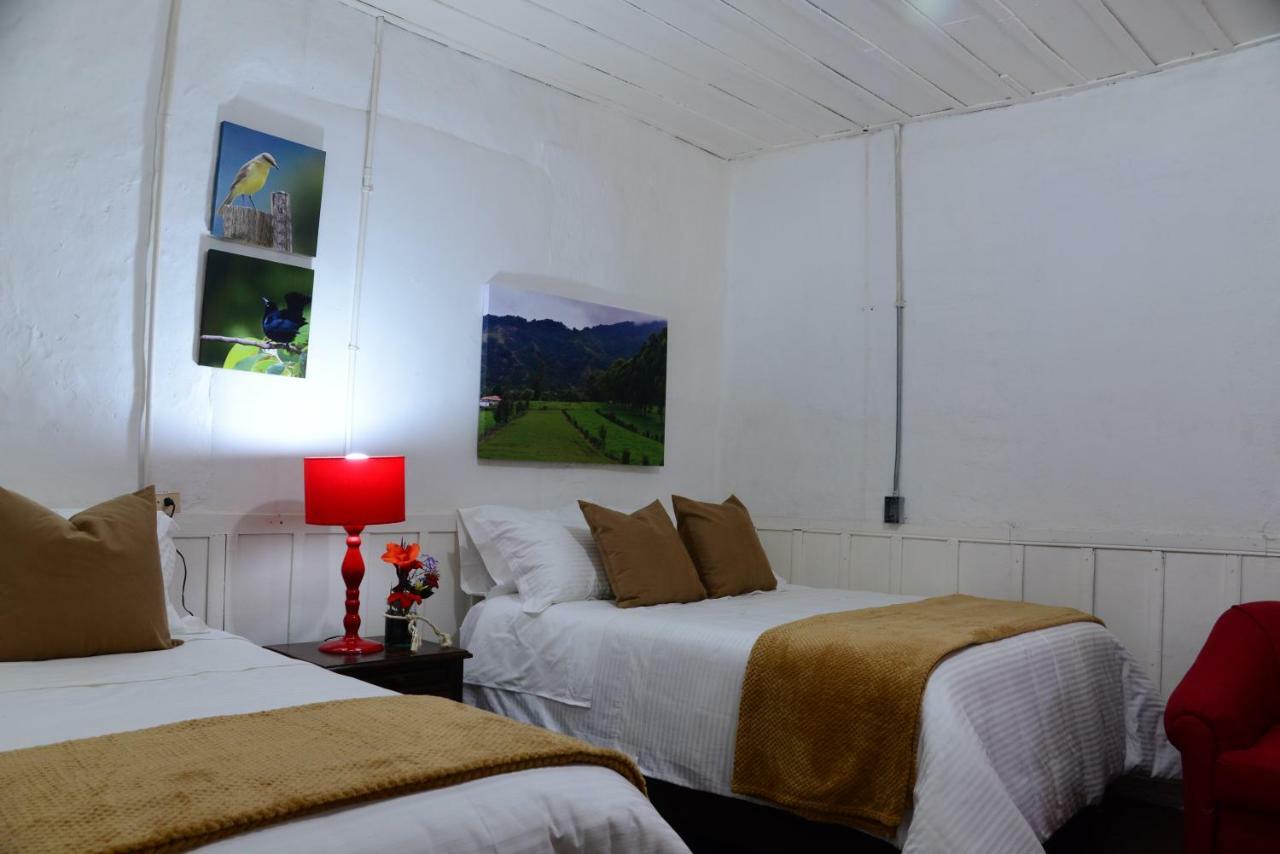 Ecohotel Pinohermoso Reserva Natural Salento Kültér fotó