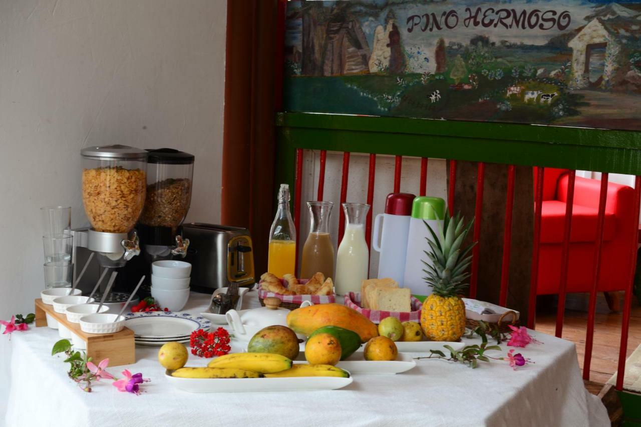 Ecohotel Pinohermoso Reserva Natural Salento Kültér fotó