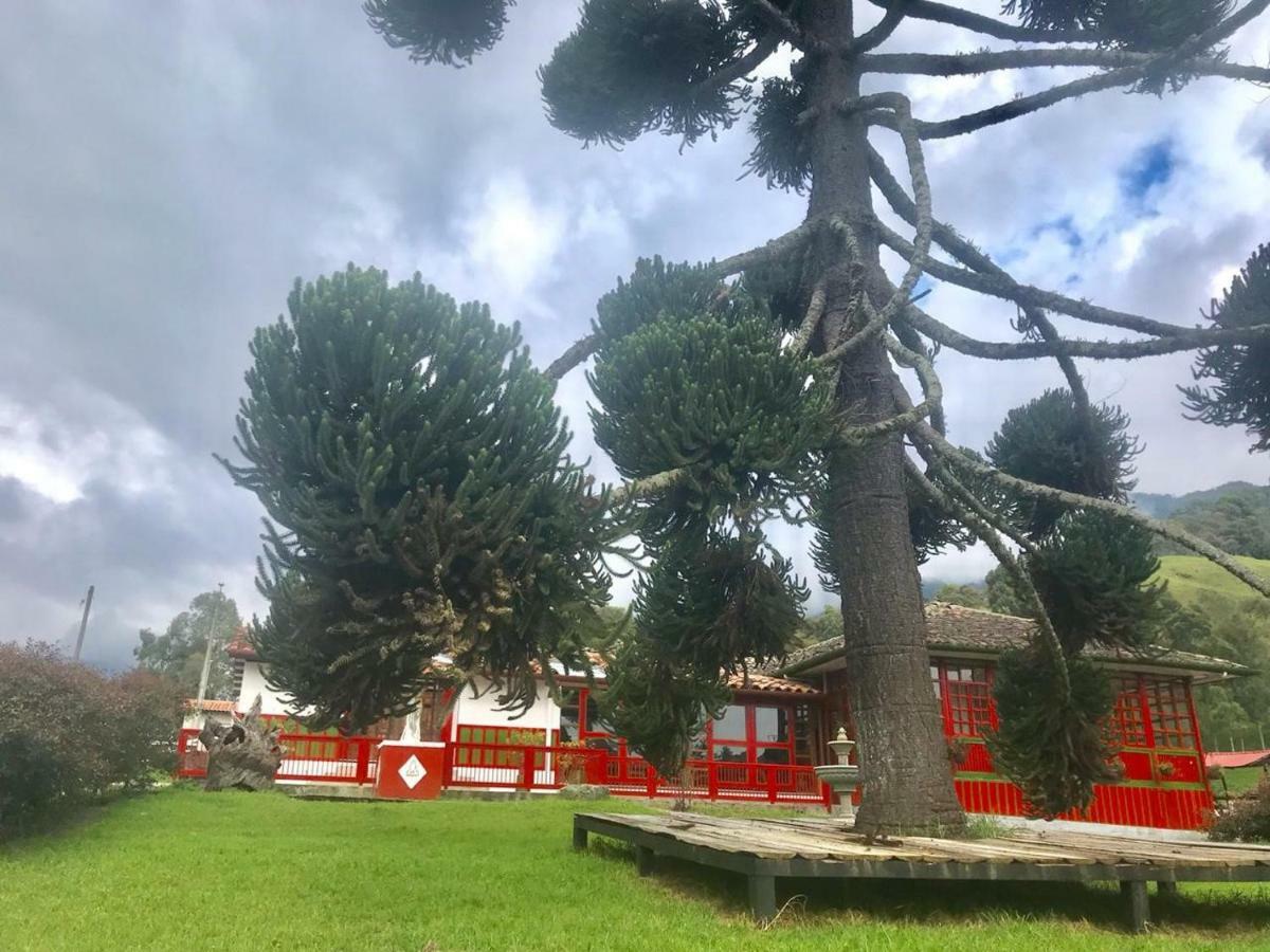 Ecohotel Pinohermoso Reserva Natural Salento Kültér fotó