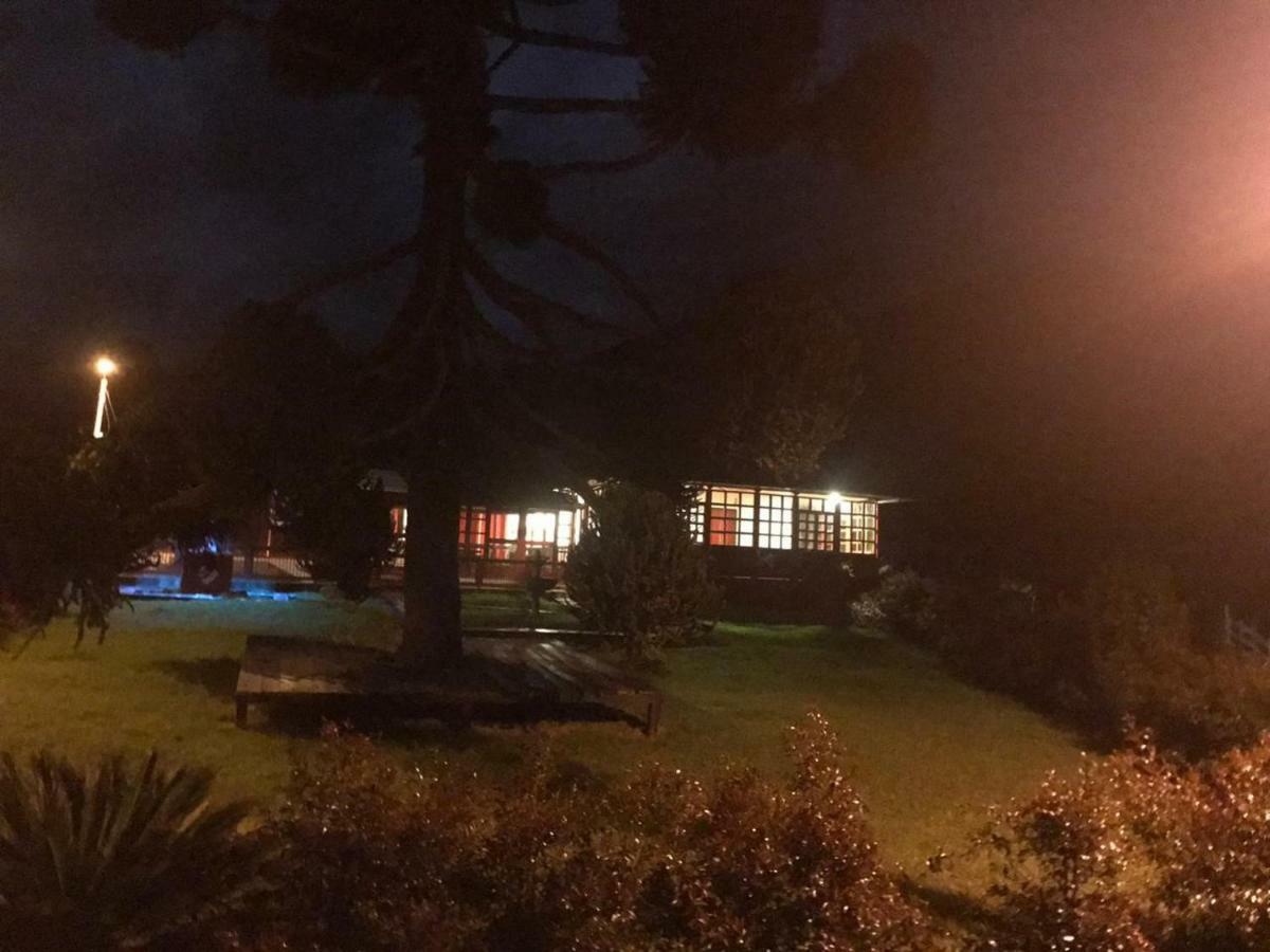 Ecohotel Pinohermoso Reserva Natural Salento Kültér fotó