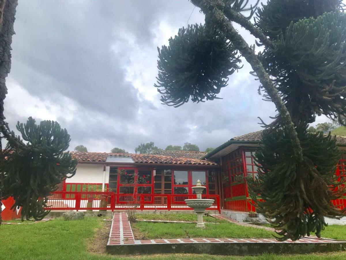 Ecohotel Pinohermoso Reserva Natural Salento Kültér fotó