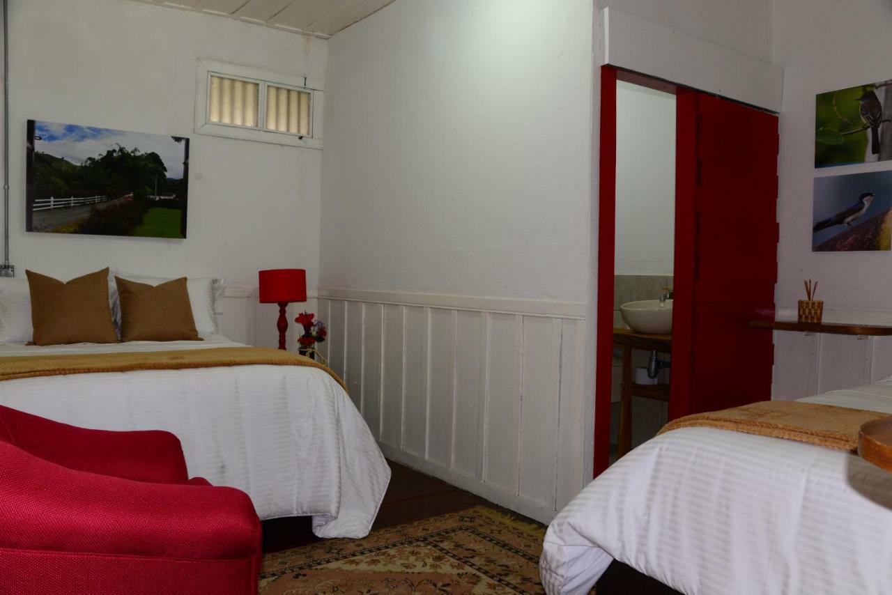 Ecohotel Pinohermoso Reserva Natural Salento Kültér fotó